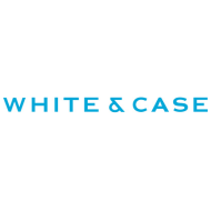 White&Case Blue 190X190