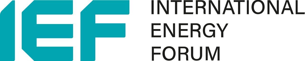 Ief Logo (1)