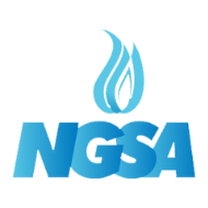 Ngsa 190X190