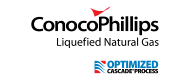 Conocophillips 190 X 80