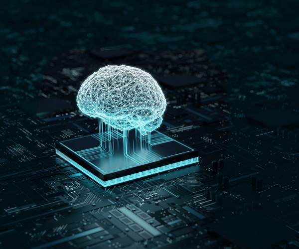 Shutterstock 2312614597 2