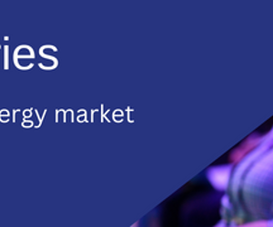Gastech Insight Series