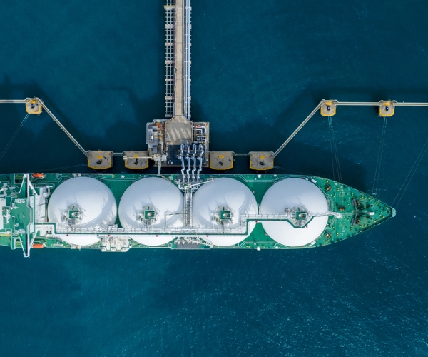 Shutterstock 2320475515