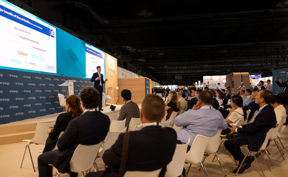 20250909 104227 ML 8641 Copy (1)