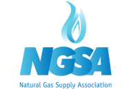 GT24 Natural Gas Supply Association