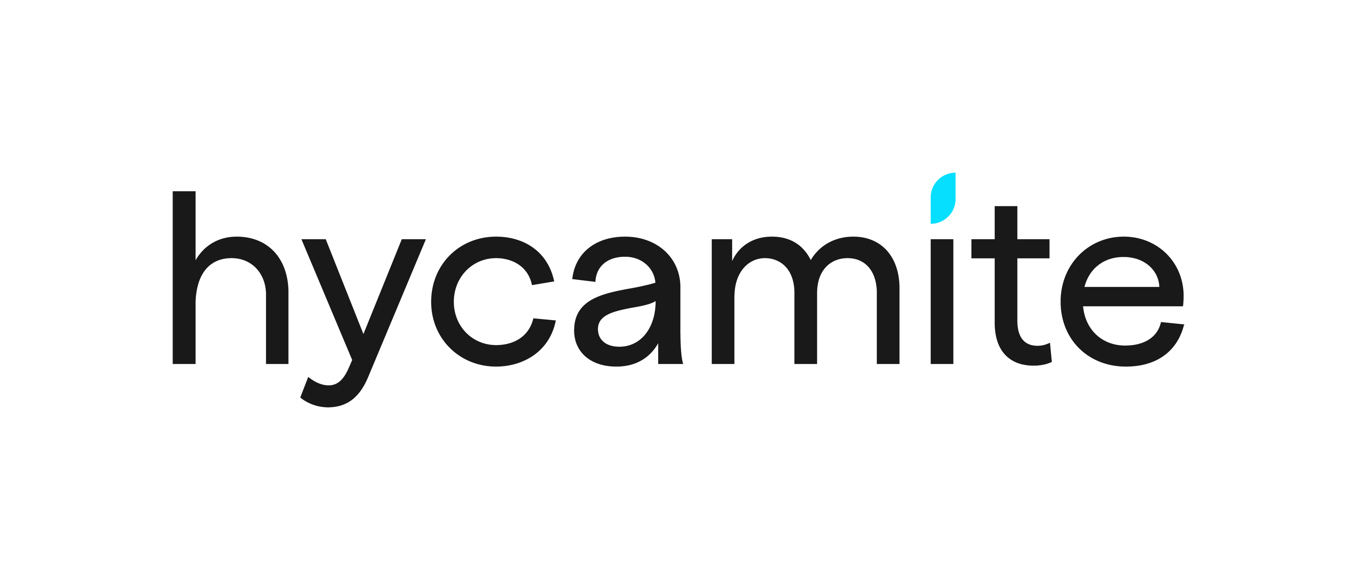 Hycamite Logo Srgb Black 300Dpi