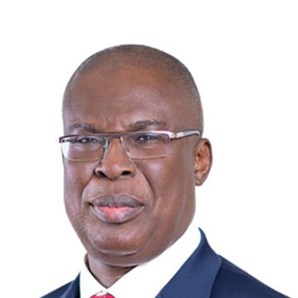 His Excellency Chief Timipre Sylva