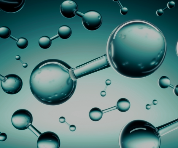 Shutterstock 1784814938 2 (1)