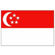 Singapore 190X190 (1)