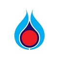 company